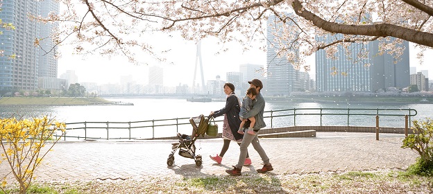 Family walking along river with sakura